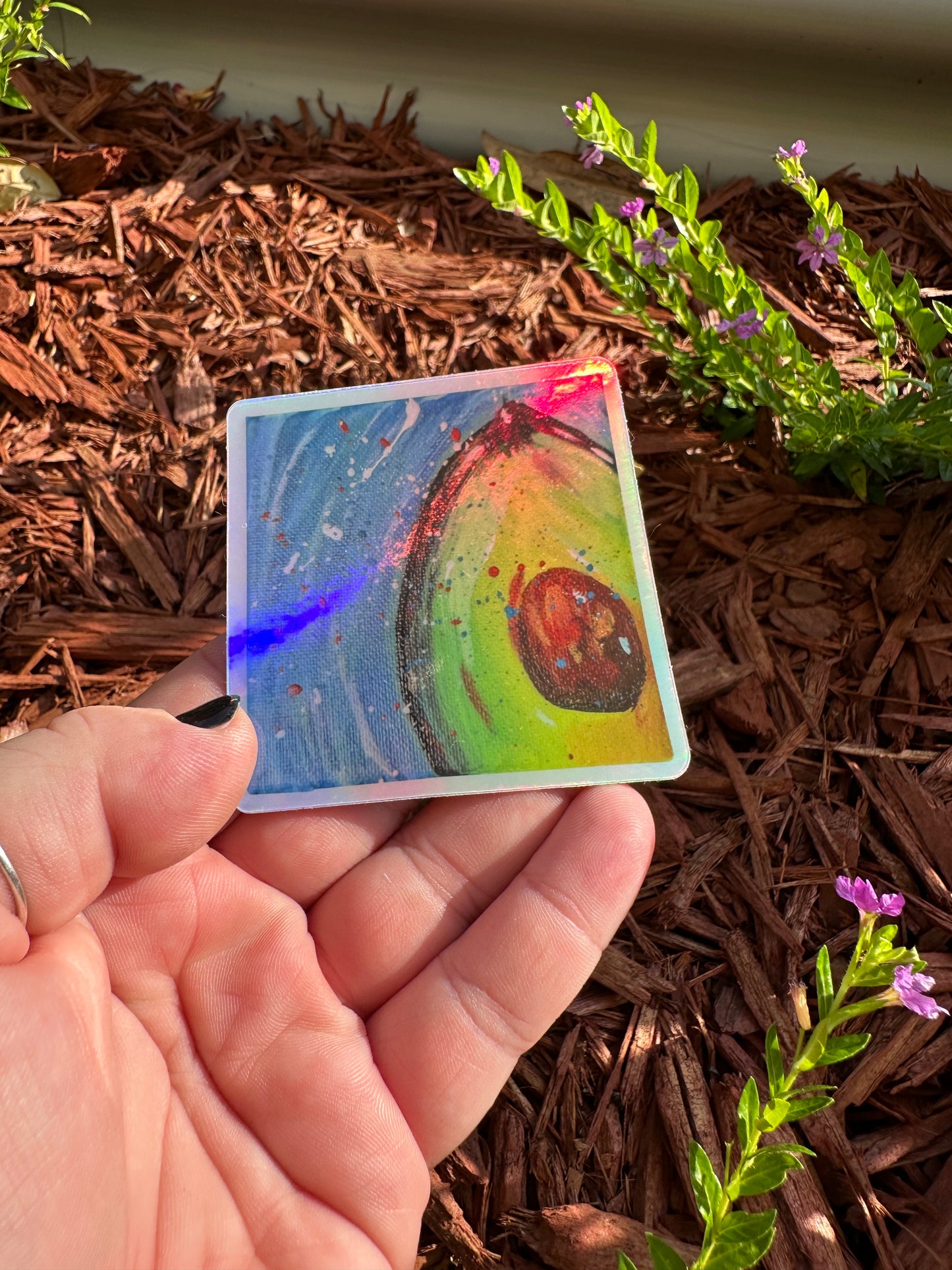 Avocado sticker