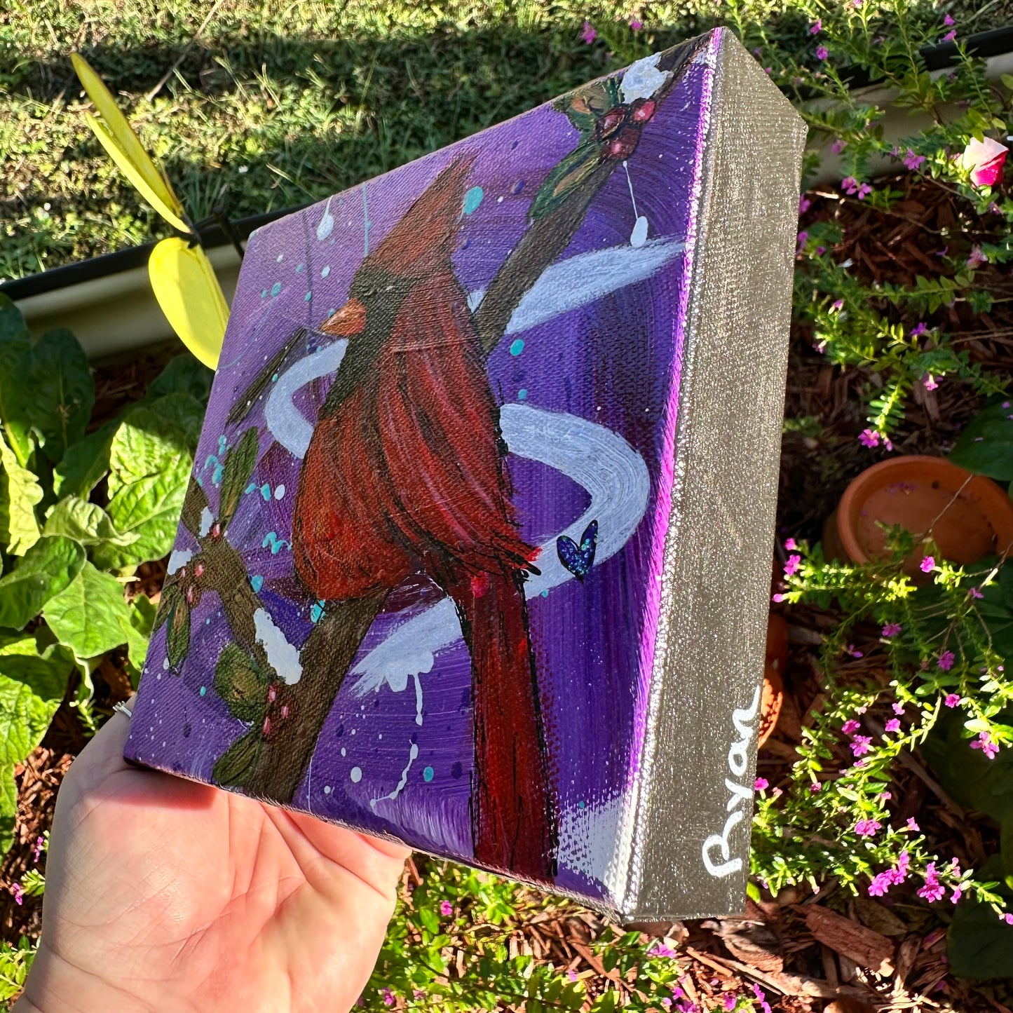 Cardinal- Ryan