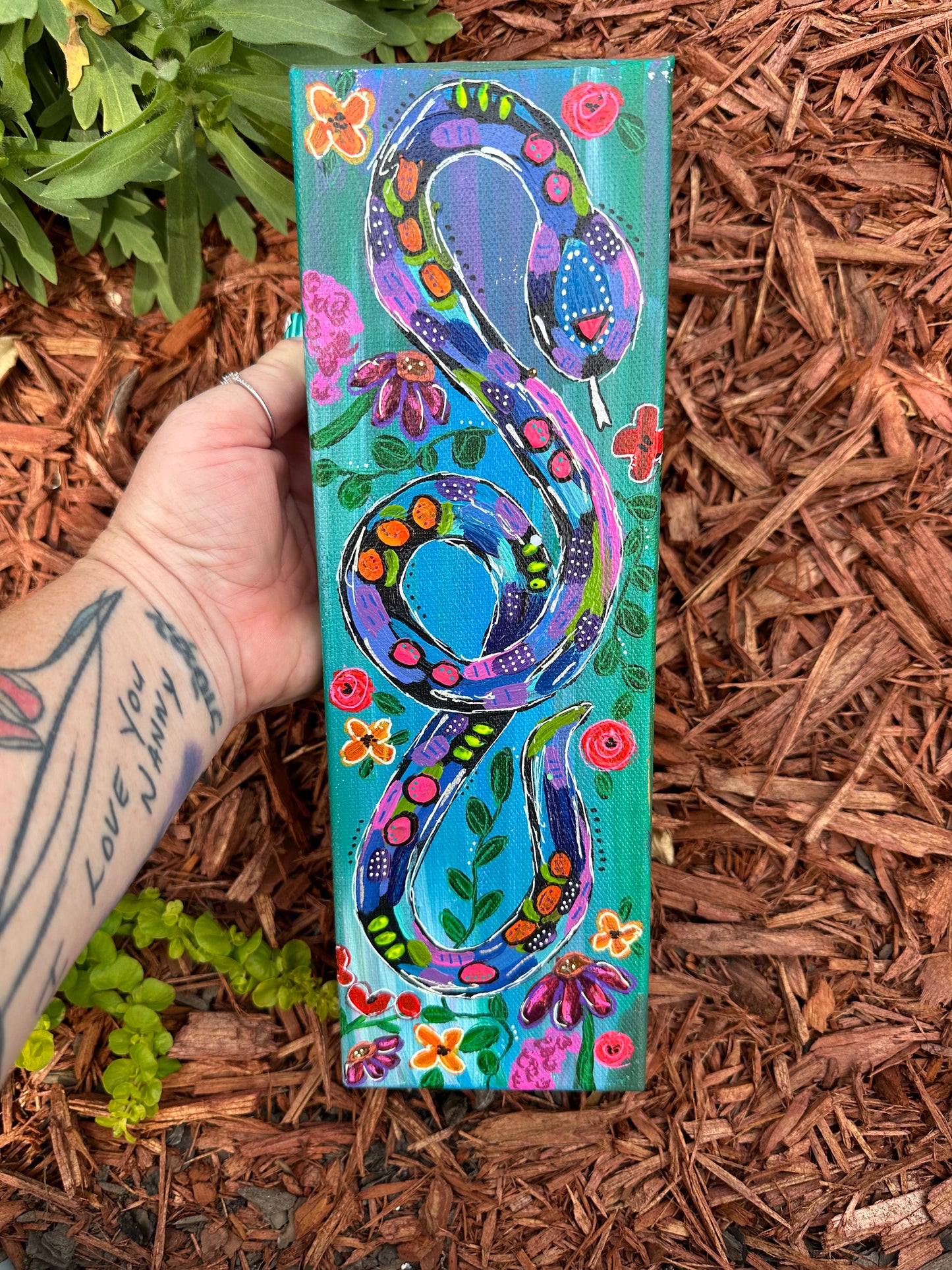 “Stella”