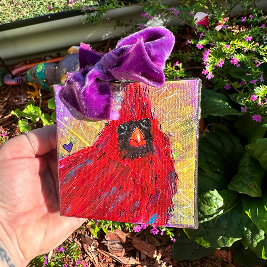 Cardinal- Opa