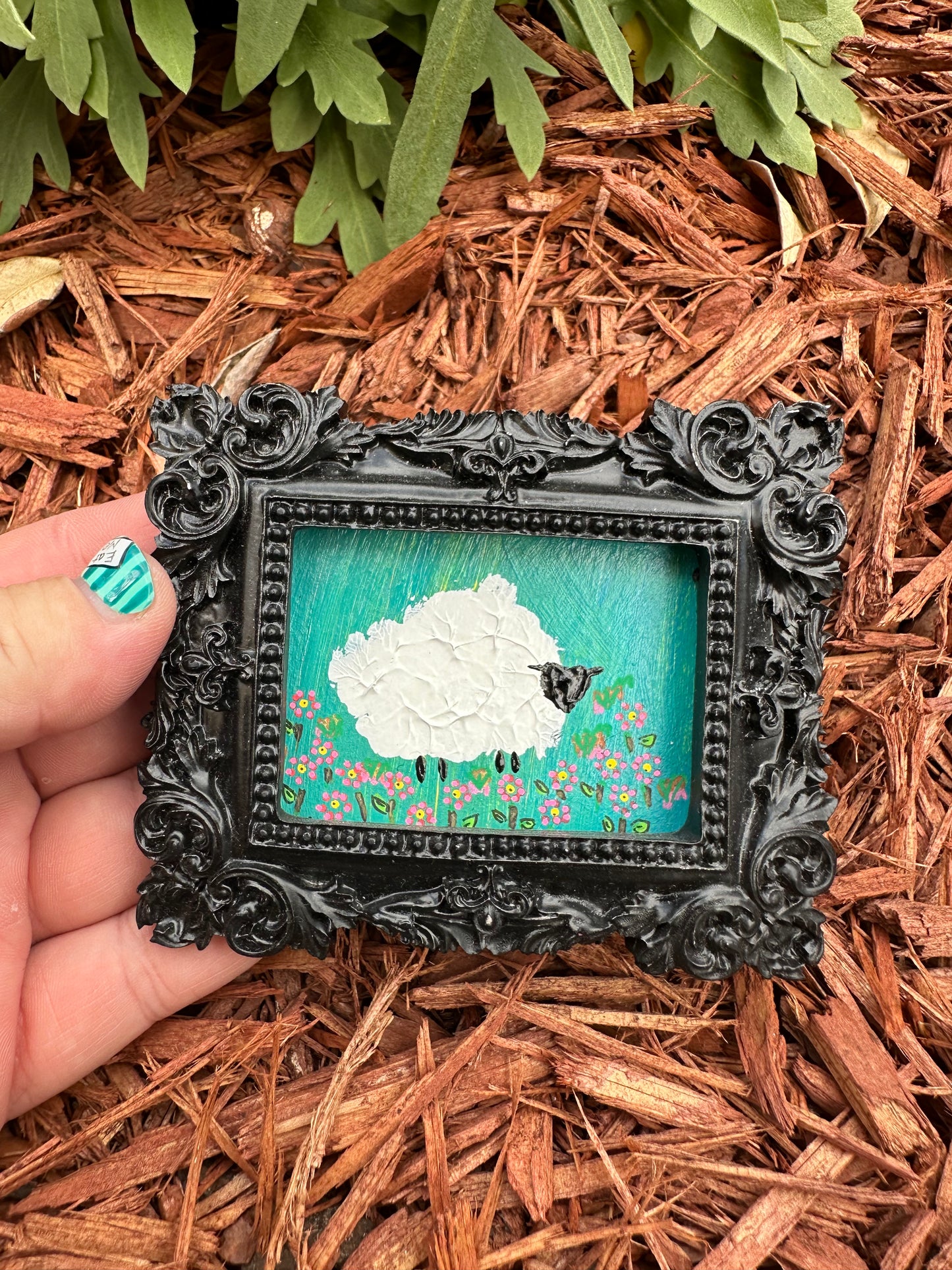 “Shelton”